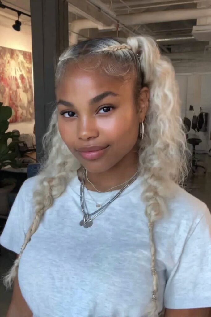 17 Stunning Half Up Half Down Pigtails to Try Today 14 A person with half up half down pigtails with mini braids hairstyle