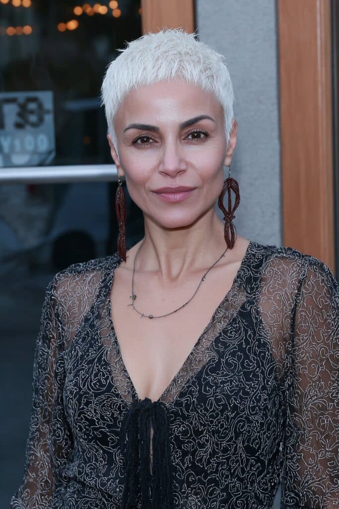 Short tapered pixie cut with textured layers for lift and definition.