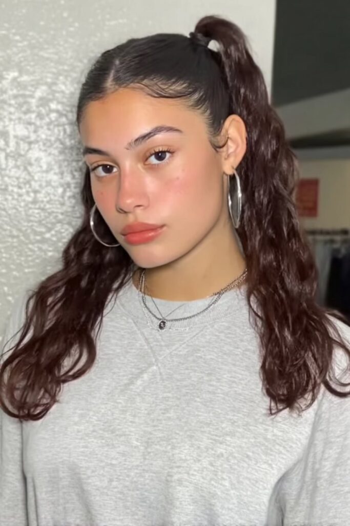 17 Stunning Half Up Half Down Pigtails to Try Today 8 A person with sleek half up half down pigtails hairstyle